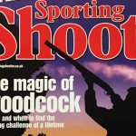 The magic of woodcock