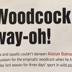 Woodcock