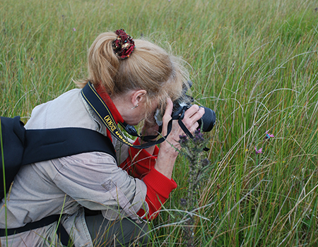 Wildlife Photographic Stalking