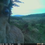 Trail Camera Photos