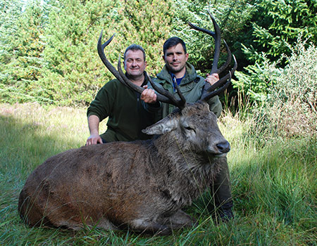 fr-red-deer2